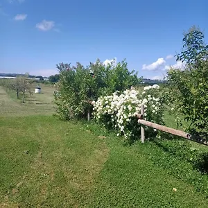 Alloggio per agriturismo Il Cipresso, Vada